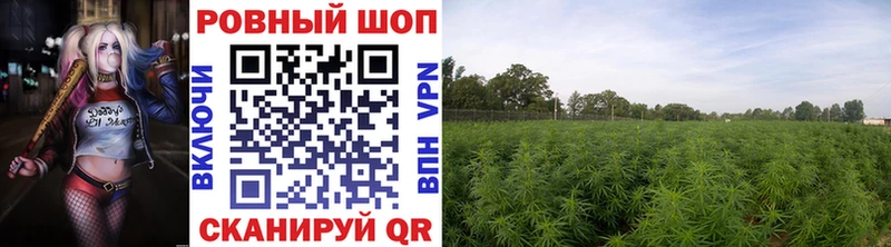 Цена Трёхгорный А ПВП Каннабис Мефедрон ГАШ