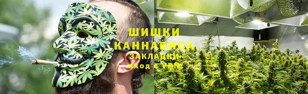 прущие грибы Алзамай
