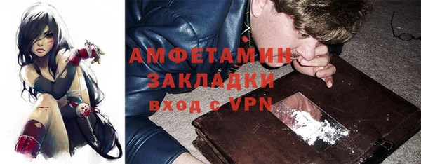 прущие грибы Алзамай