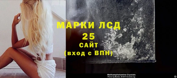 прущие грибы Алзамай