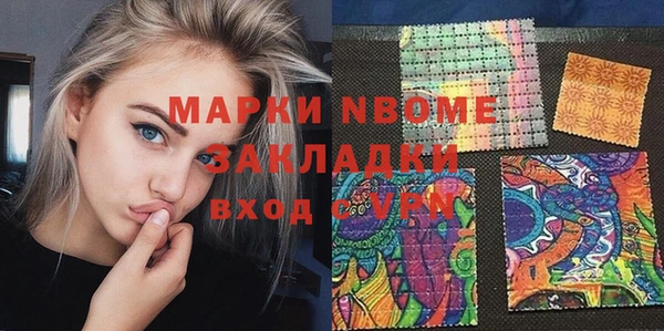 прущие грибы Алзамай
