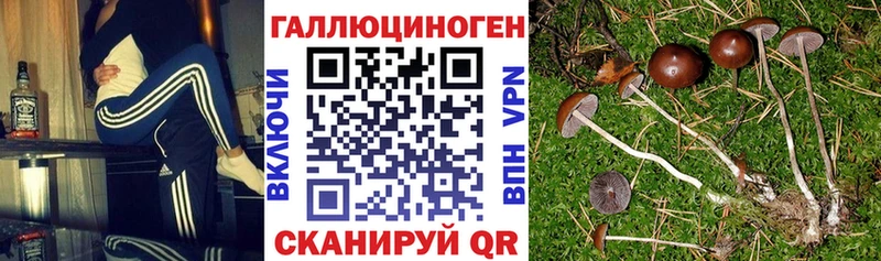 Псилоцибиновые грибы MAGIC MUSHROOMS  наркошоп  дарк нет как зайти  Трёхгорный 